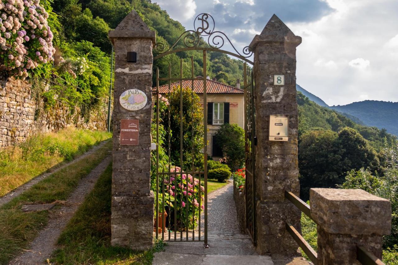 Faggeto Lario B&B Villa Le Ortensie المظهر الخارجي الصورة