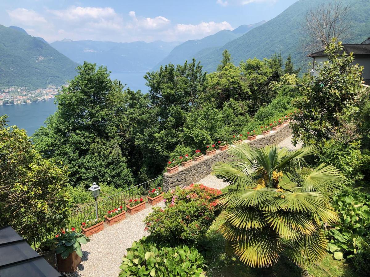 Faggeto Lario B&B Villa Le Ortensie المظهر الخارجي الصورة