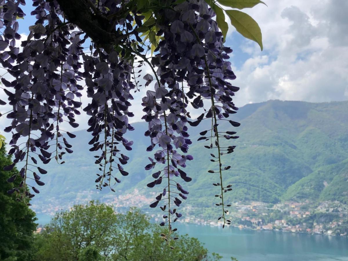 Faggeto Lario B&B Villa Le Ortensie المظهر الخارجي الصورة